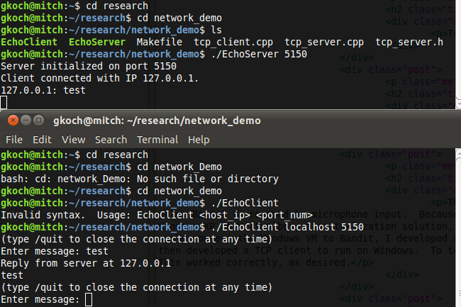 TCP Echo Client/Server Demo on Ubuntu